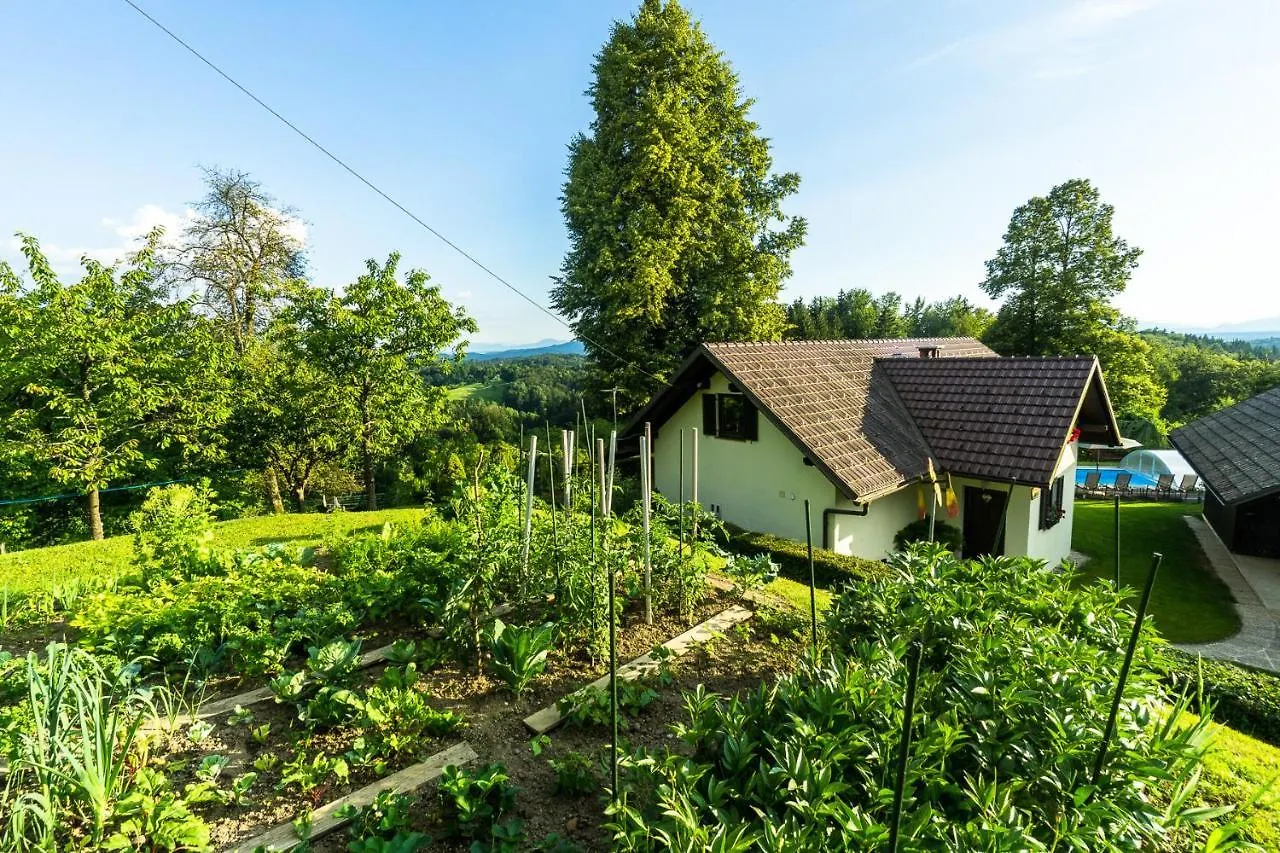 Holiday home Holiday House In Nature With Pool, Pr Matazic Kamnik Slovenia